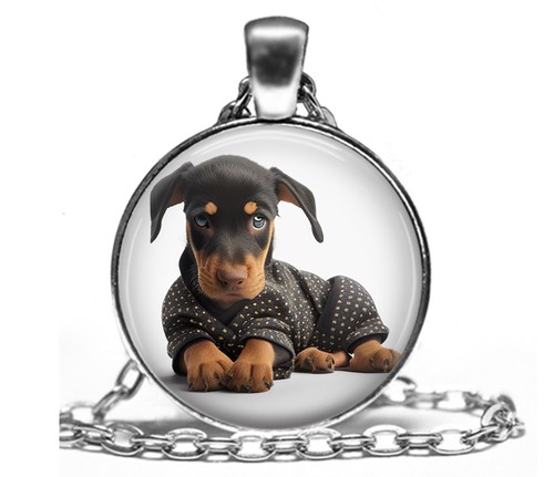 Doberman puppy dog sweater - in,