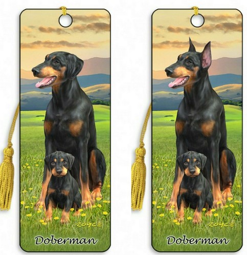 Doberman pinscher dog puppy - dog,