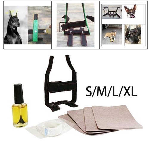Doberman ear posting - ear, kit