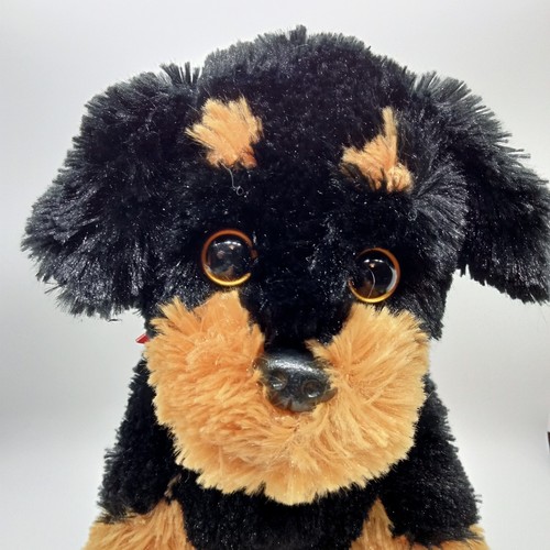 2012 doberman puppy - doberman, 12"