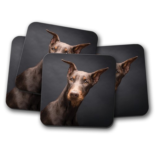 Set doberman pinscher dog - set,