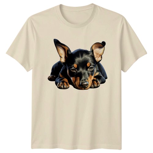 Doberman pinscher puppy dog - pinscher,