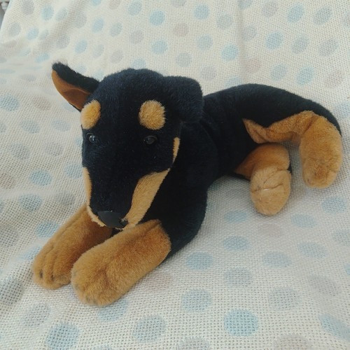 Gosh doberman pinscher puppy - gosh!,