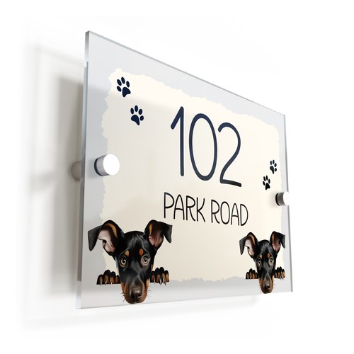 Doberman pinscher dog puppy - doberman,