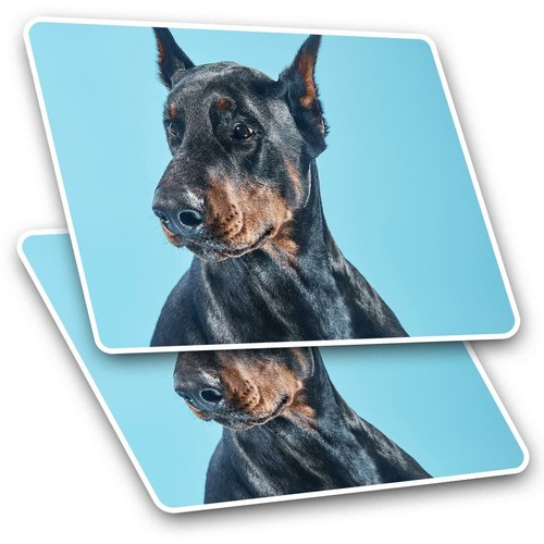 Rectangle stickers cm - rectangle, 10