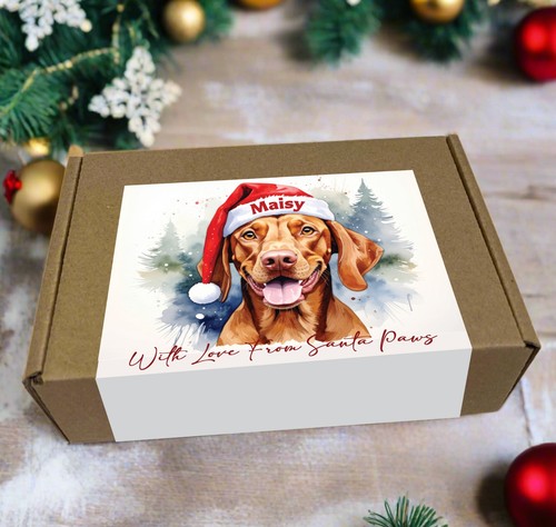 Any dog breed - any,