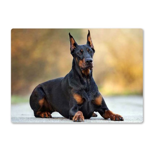Metal wall sign dogs - metal,