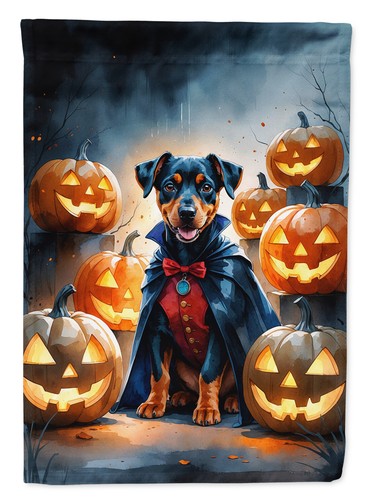 Doberman vampire puppy - doberman,