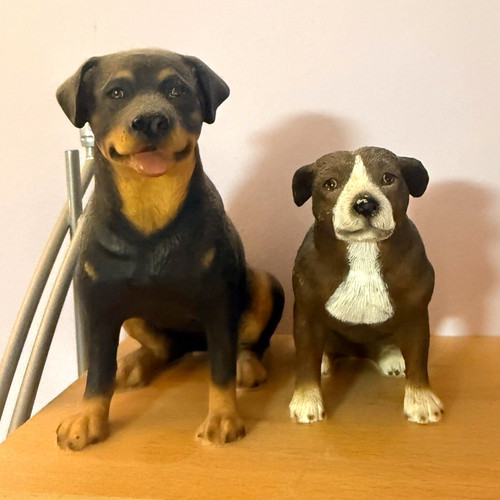Doberman pinscher dog - doberman,