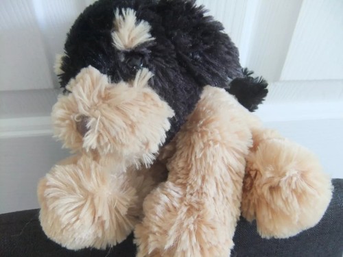 Puppy dog pup black tan - puppy,