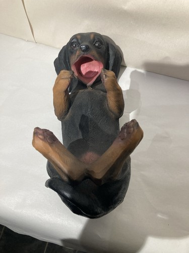 Doberman type puppy bottle - doberman,