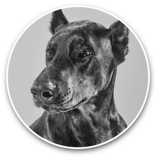 Vinyl stickers 15cm - x, (bw)