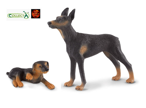 Doberman pinscher dog and - doberman,
