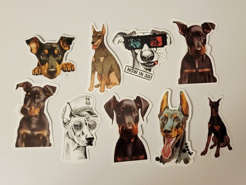 Doberman puppy dog - puppy,